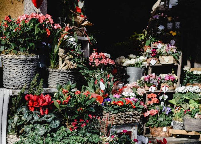 pexels-eva-bronzini-6216246