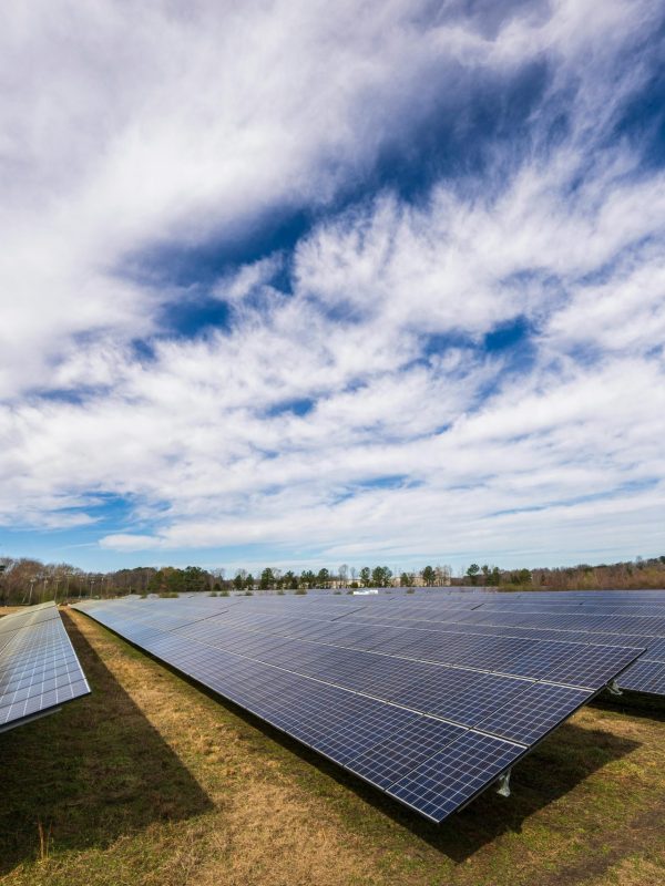 pexels-nc-farm-bureau-mark-15751120